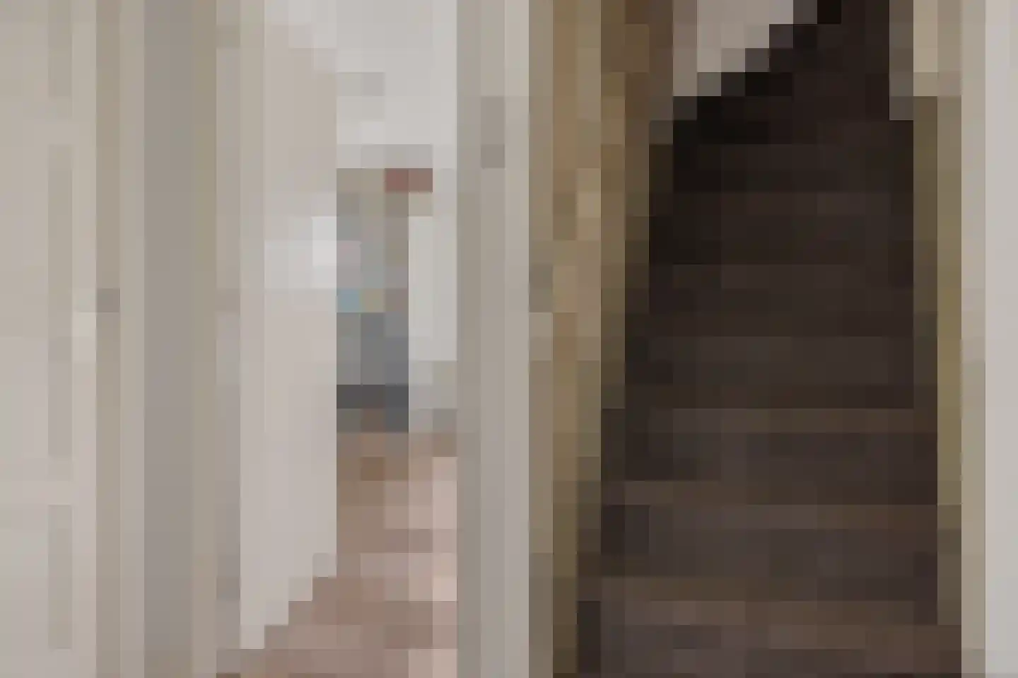 Buorren 50 Tytsjerk thumbnail 25