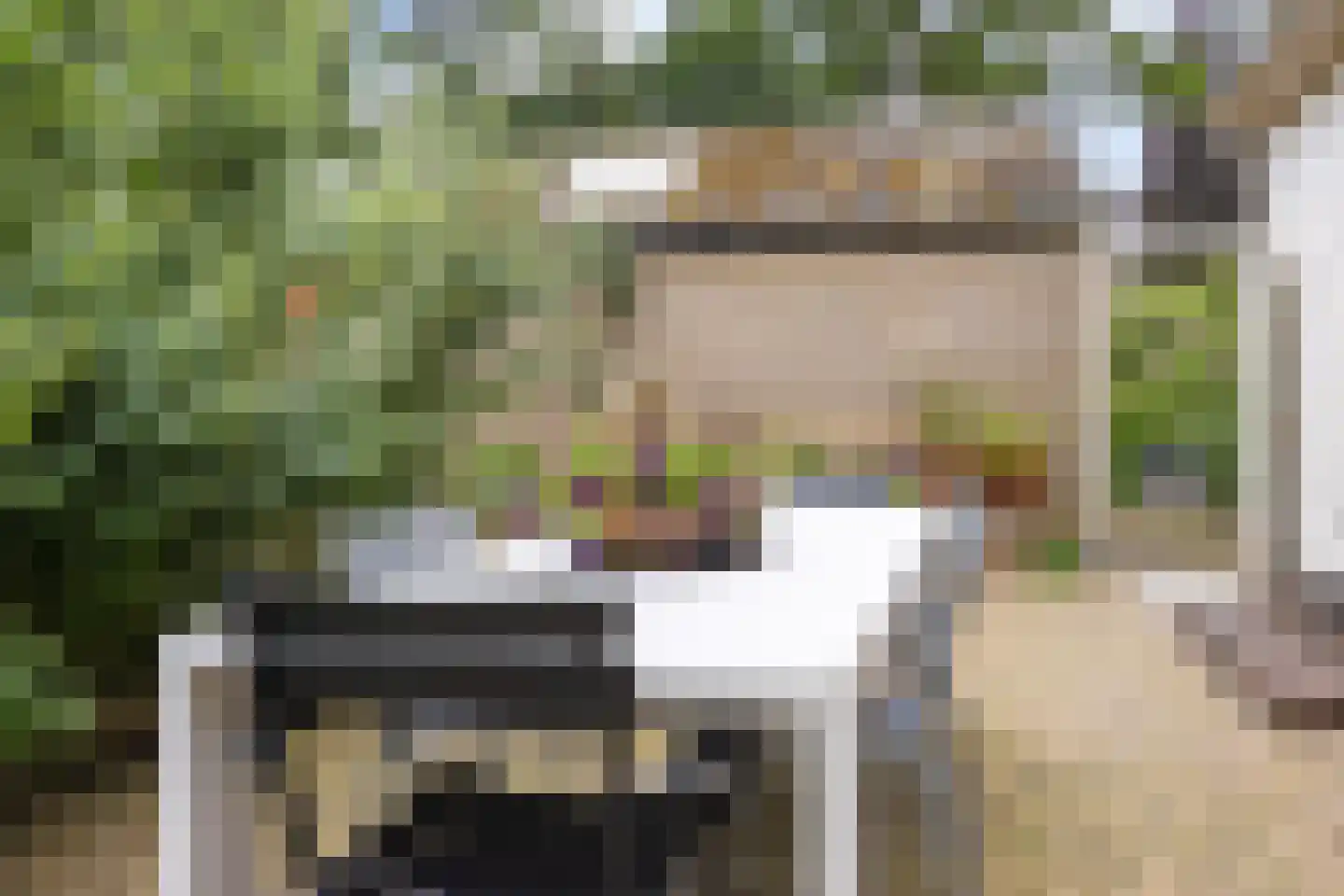 Buorren 50 Tytsjerk thumbnail 29