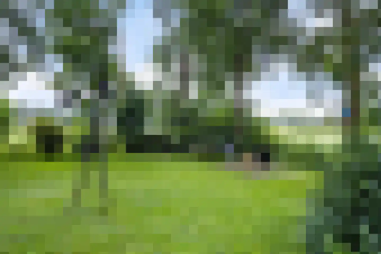 Buorren 50 Tytsjerk thumbnail 31
