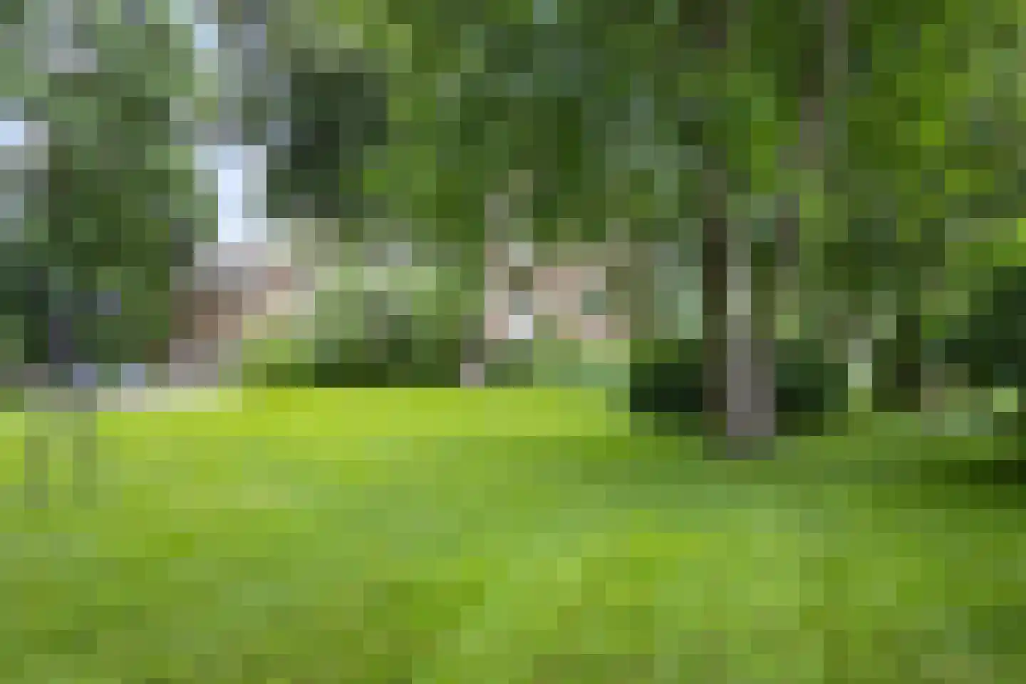 Buorren 50 Tytsjerk thumbnail 32