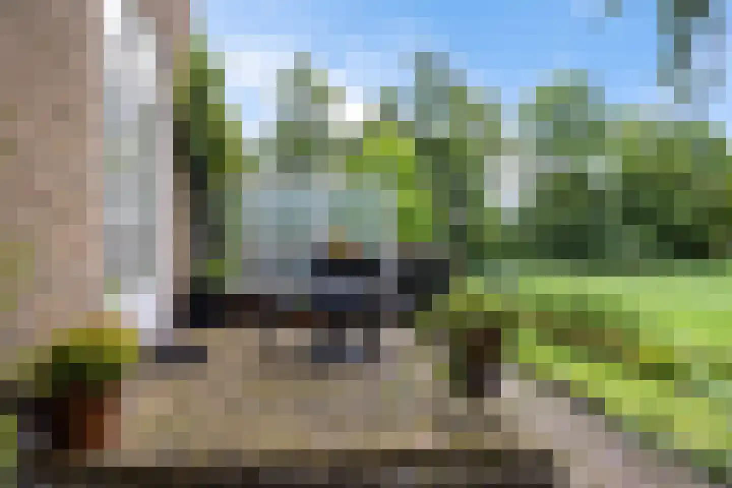 Buorren 50 Tytsjerk thumbnail 34