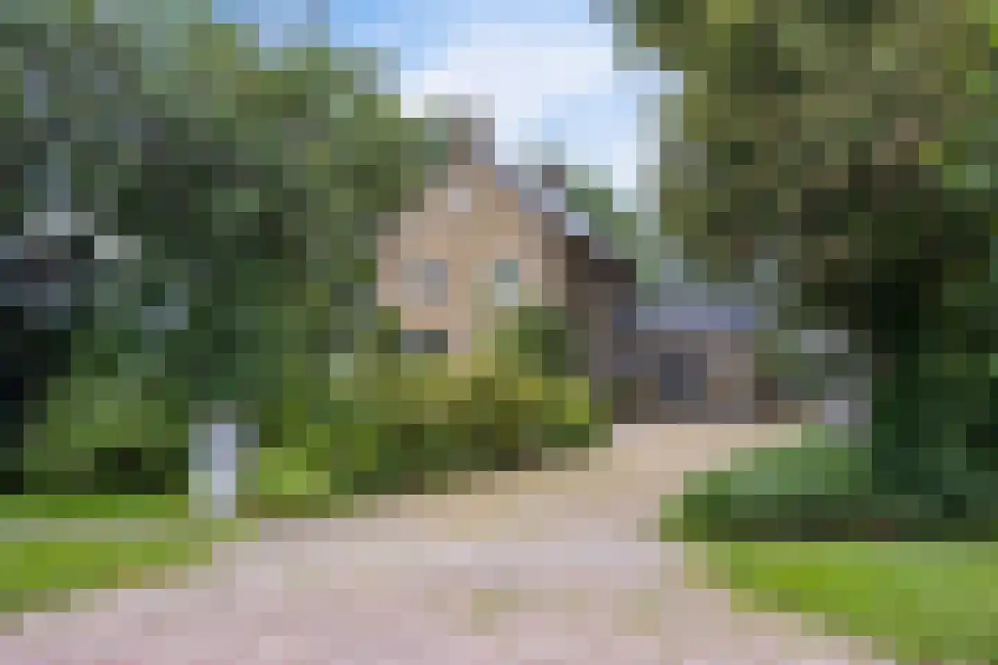 Buorren 50 Tytsjerk thumbnail 35