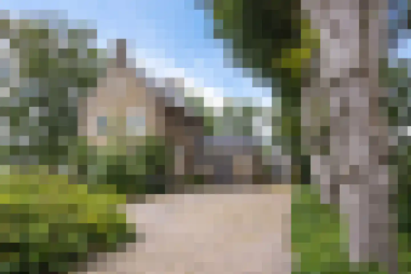 Buorren 50 Tytsjerk thumbnail 36