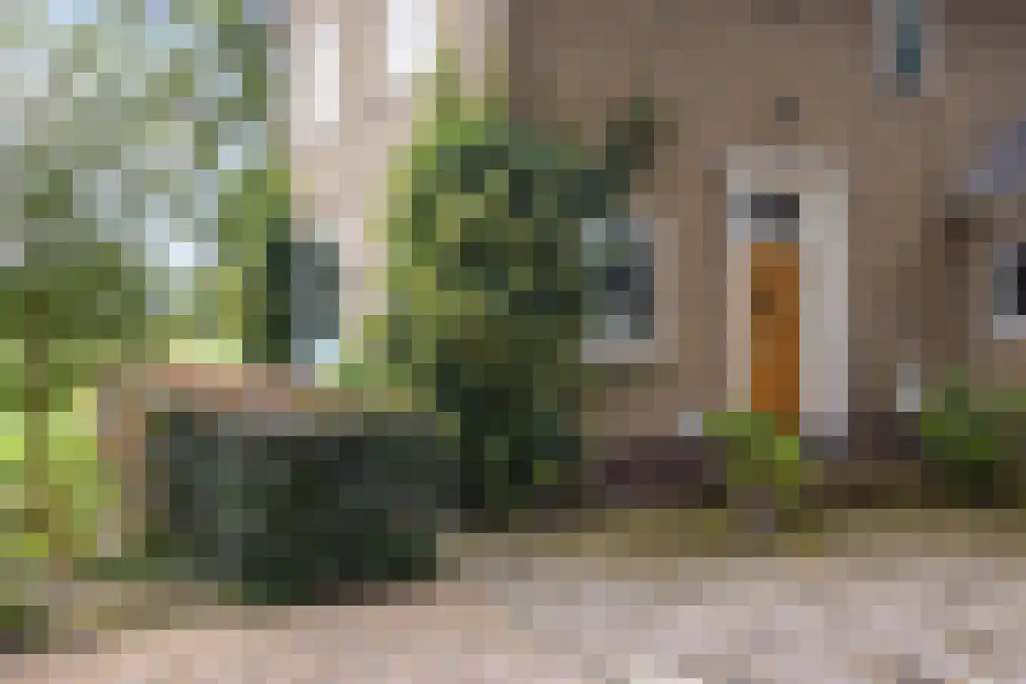 Buorren 50 Tytsjerk thumbnail 37