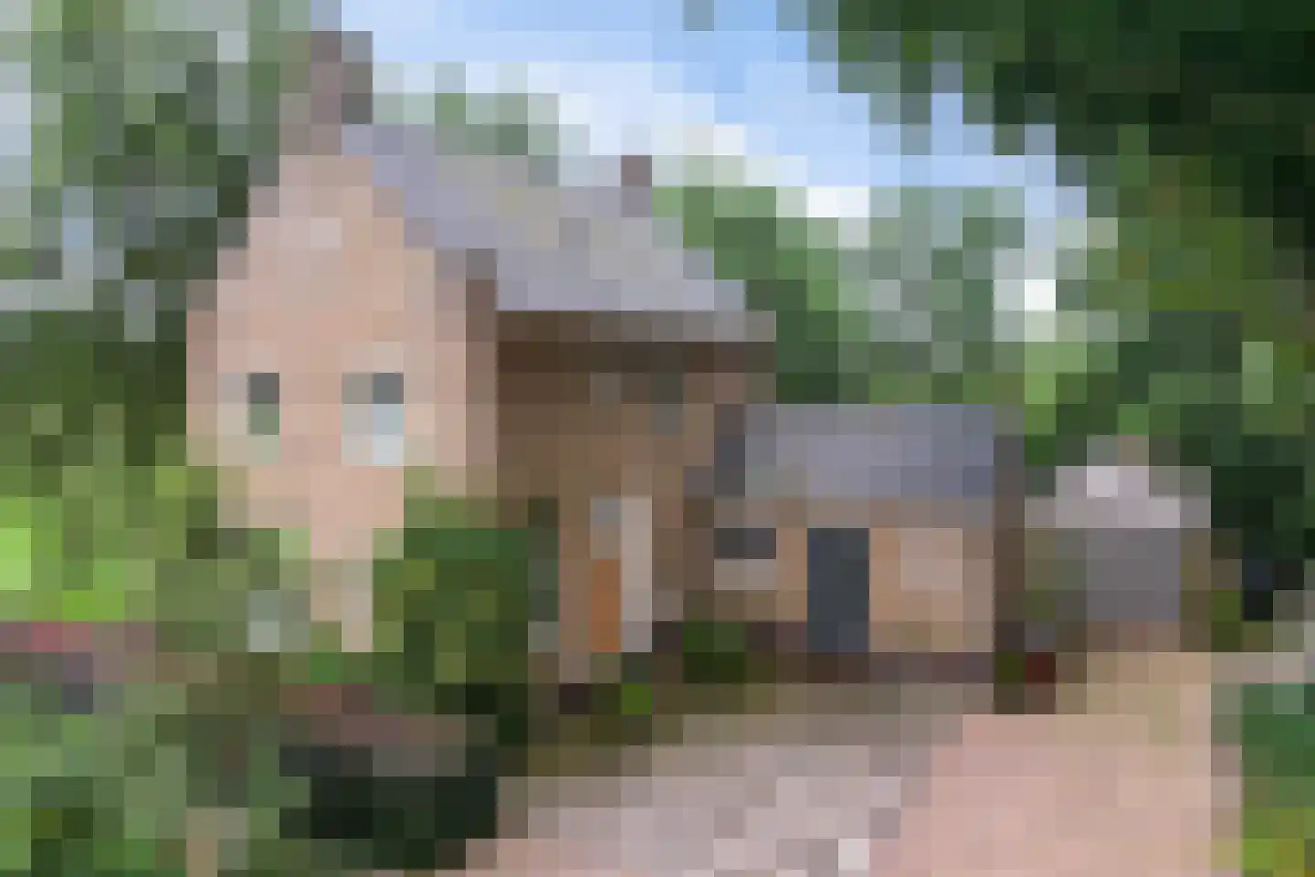 Buorren 50 Tytsjerk thumbnail 41
