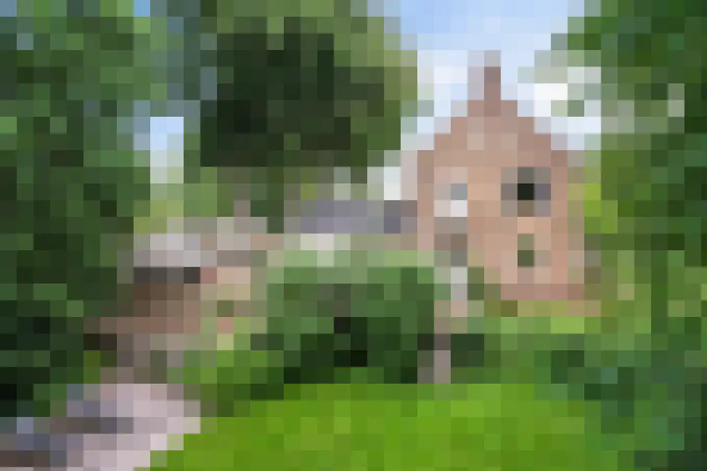 Buorren 50 Tytsjerk thumbnail 42