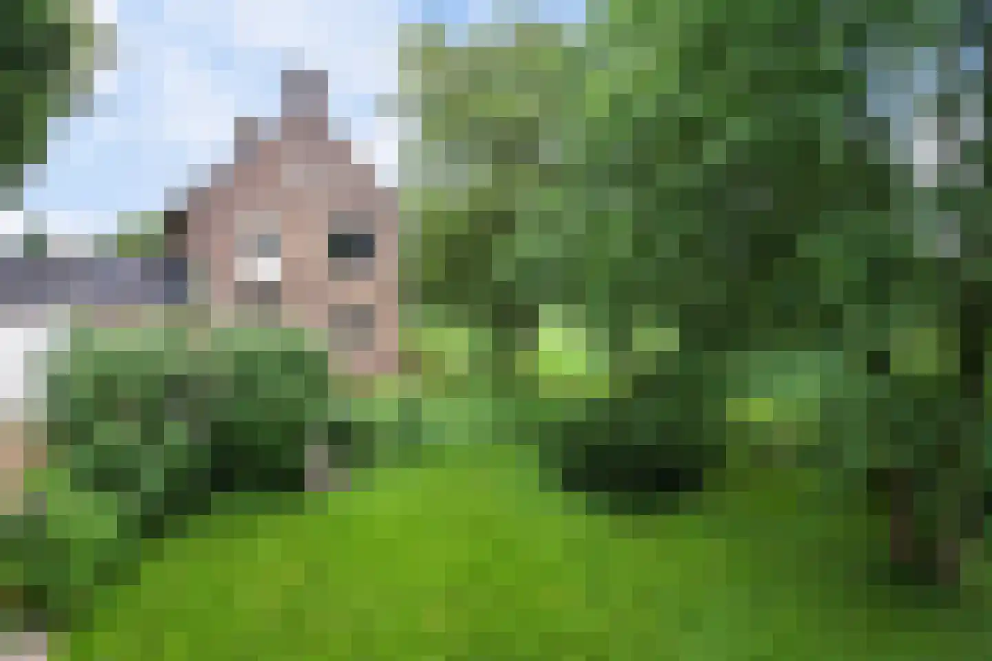 Buorren 50 Tytsjerk thumbnail 43