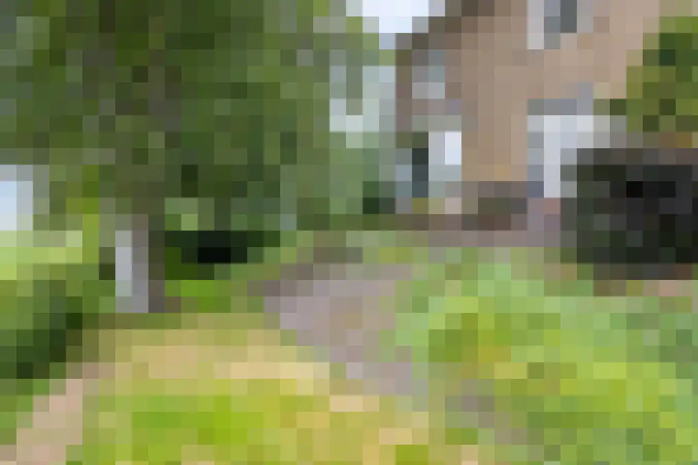 Buorren 50 Tytsjerk thumbnail 47