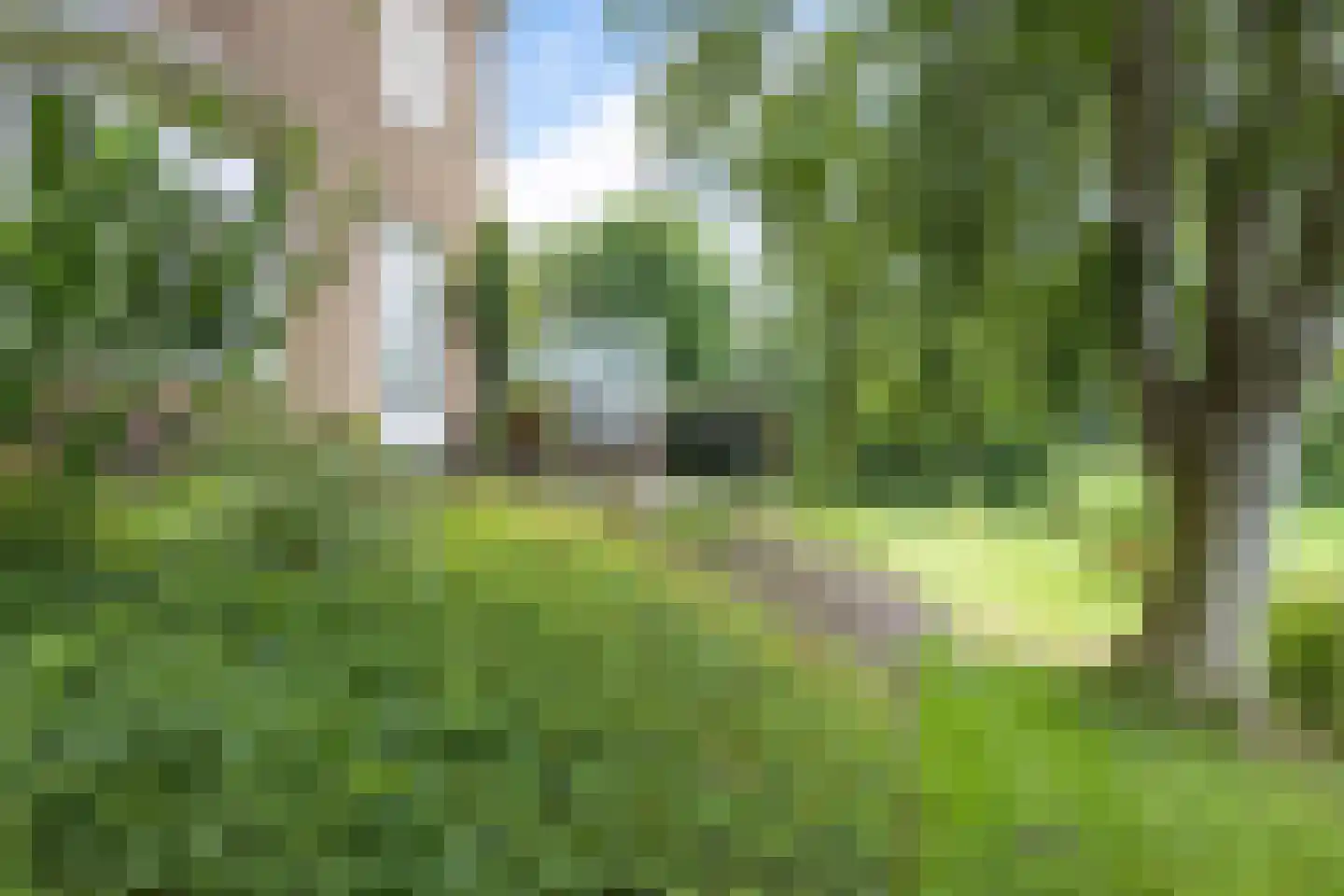 Buorren 50 Tytsjerk thumbnail 48