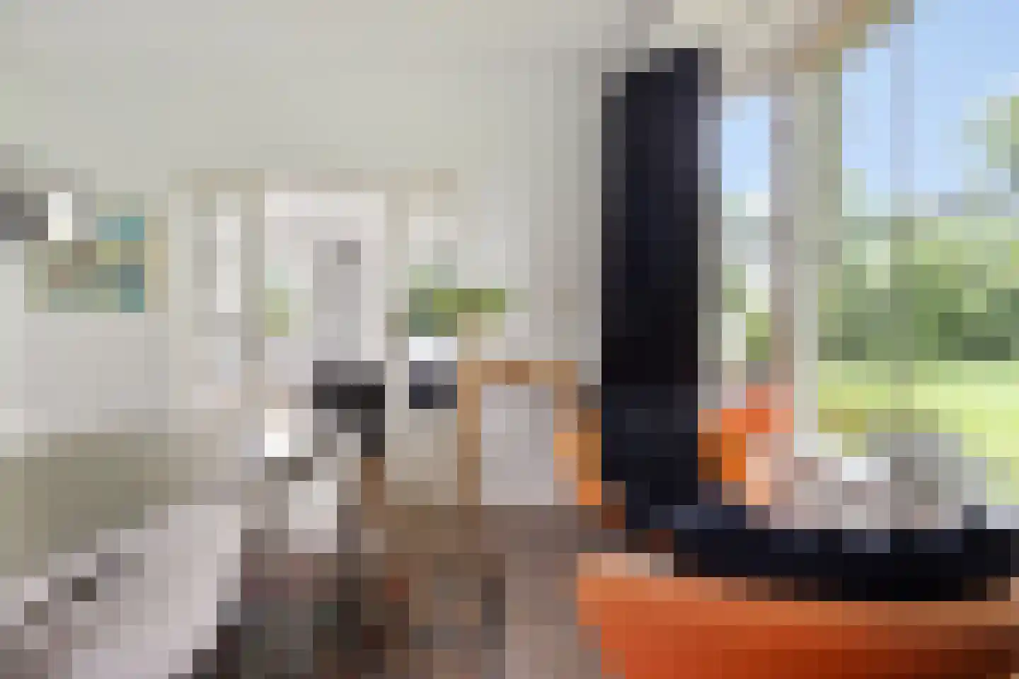 Buorren 50 Tytsjerk thumbnail 8