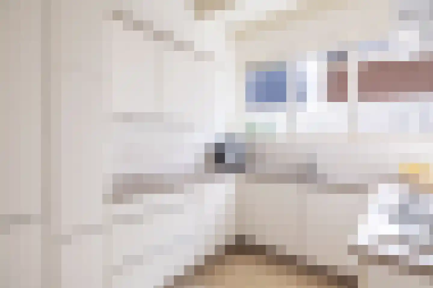 Buorren 52 Bitgum thumbnail 27