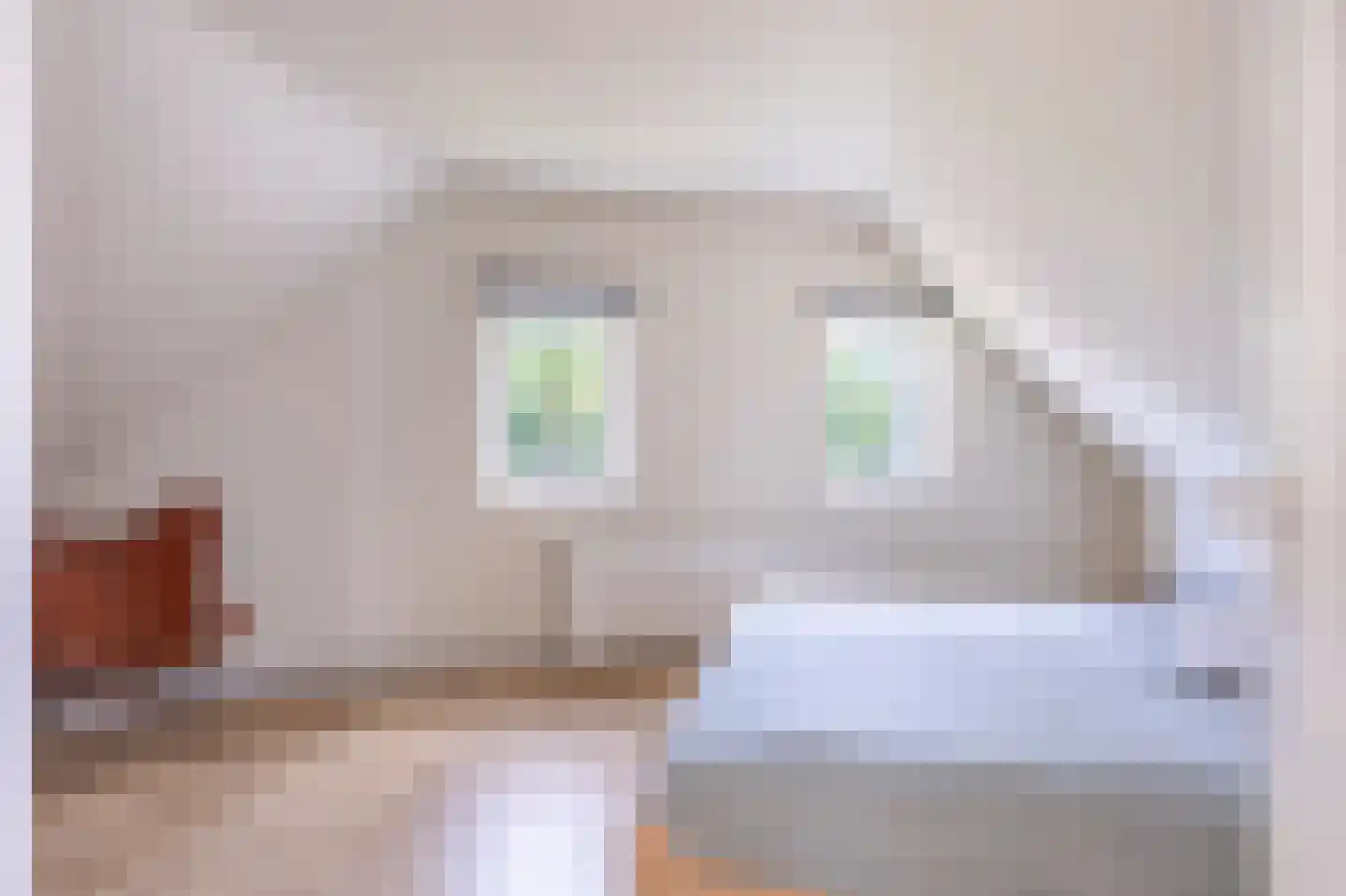 Buorren 52 Bitgum thumbnail 36