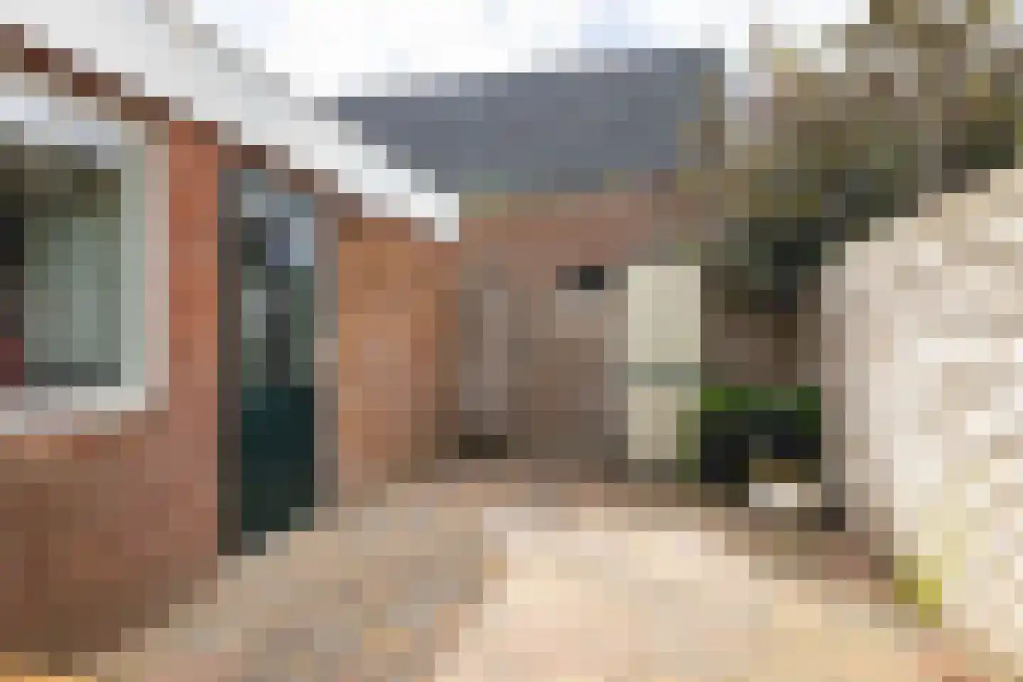 Buorren 52 Bitgum thumbnail 45