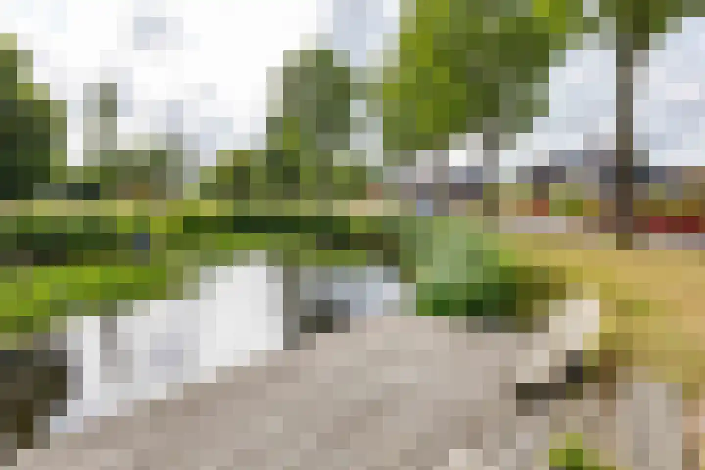 Buorren 52 Bitgum thumbnail 46