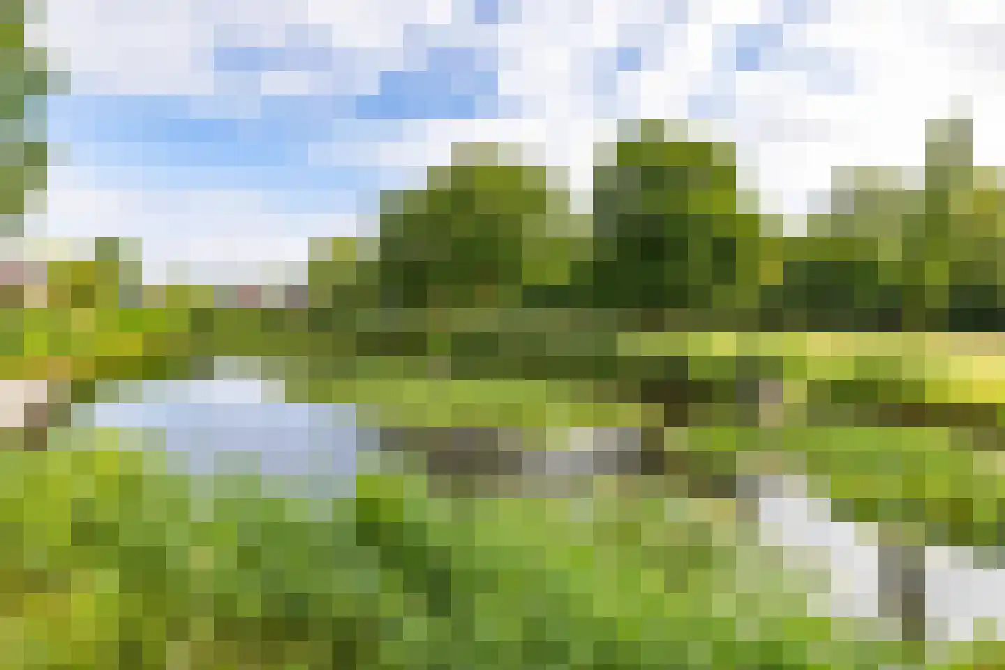 Buorren 52 Bitgum thumbnail 47