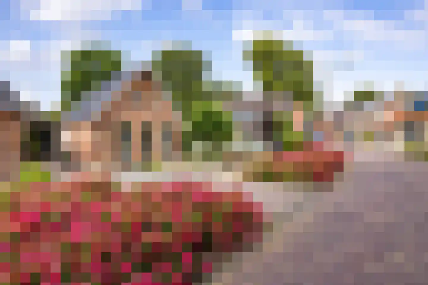Buorren 52 Bitgum thumbnail 9