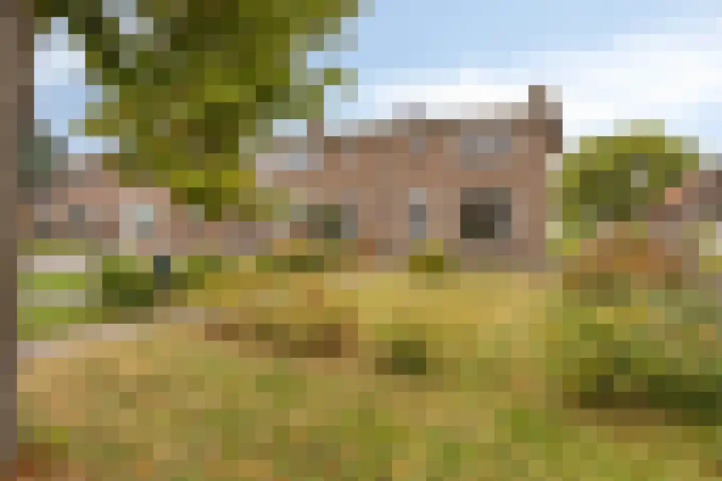 Buorren 53 Elahuizen thumbnail 10