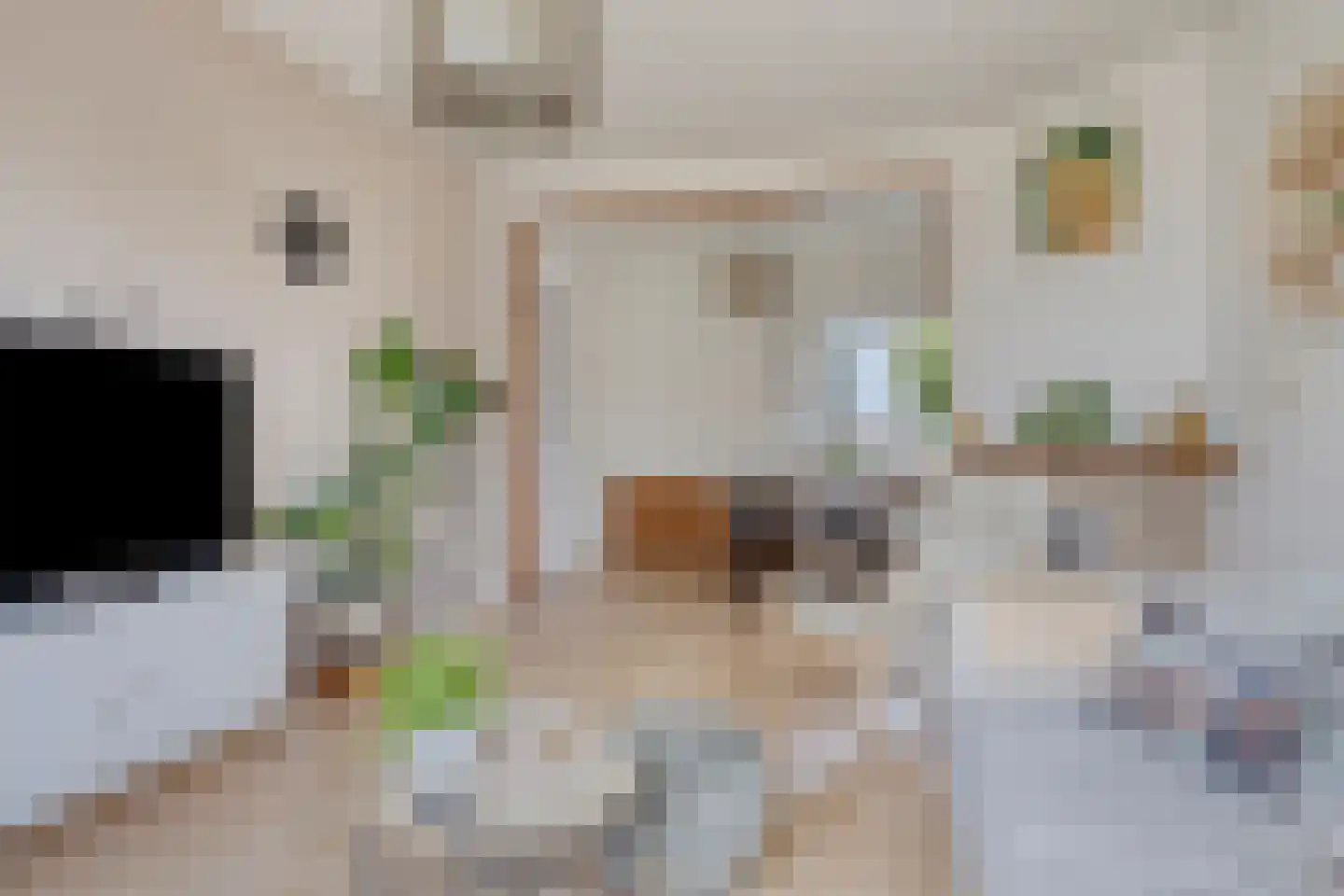 Buorren 53 Elahuizen thumbnail 12