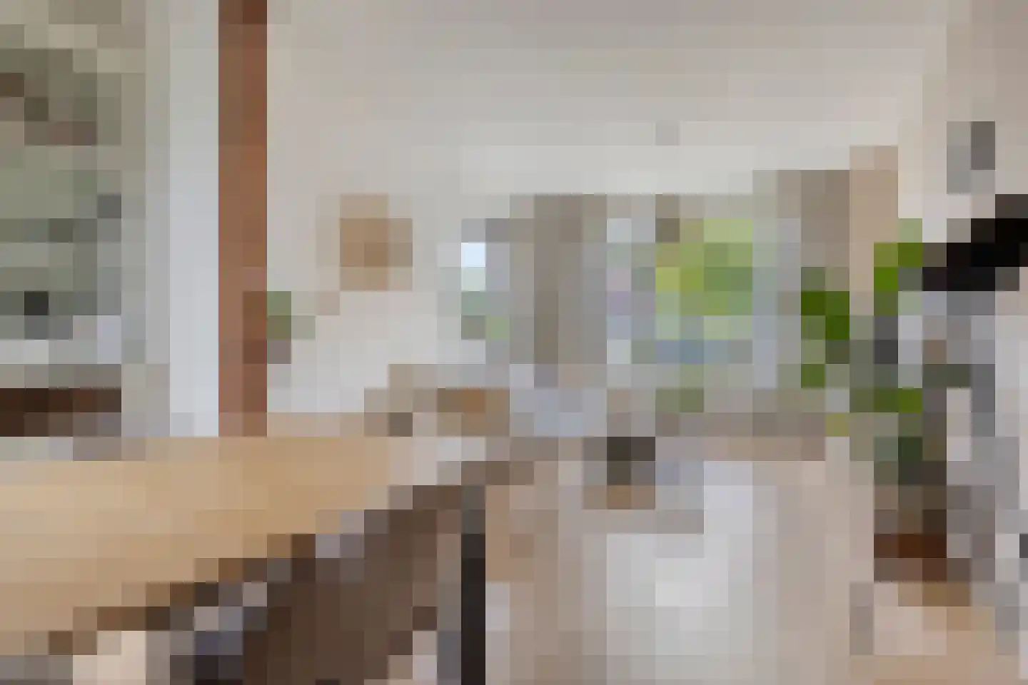 Buorren 53 Elahuizen thumbnail 13