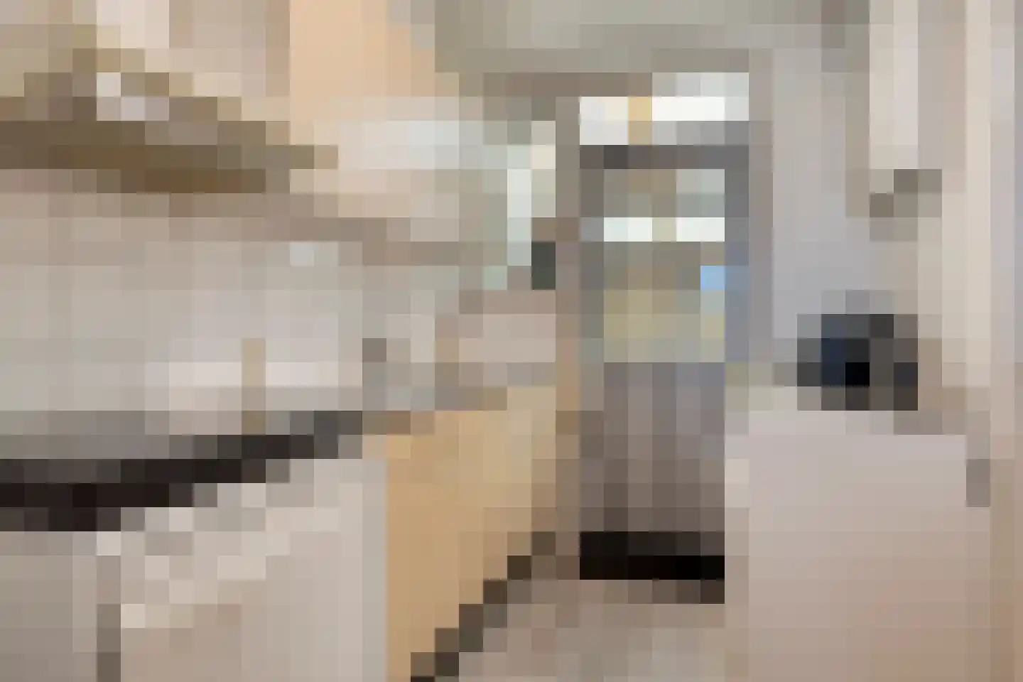 Buorren 53 Elahuizen thumbnail 14