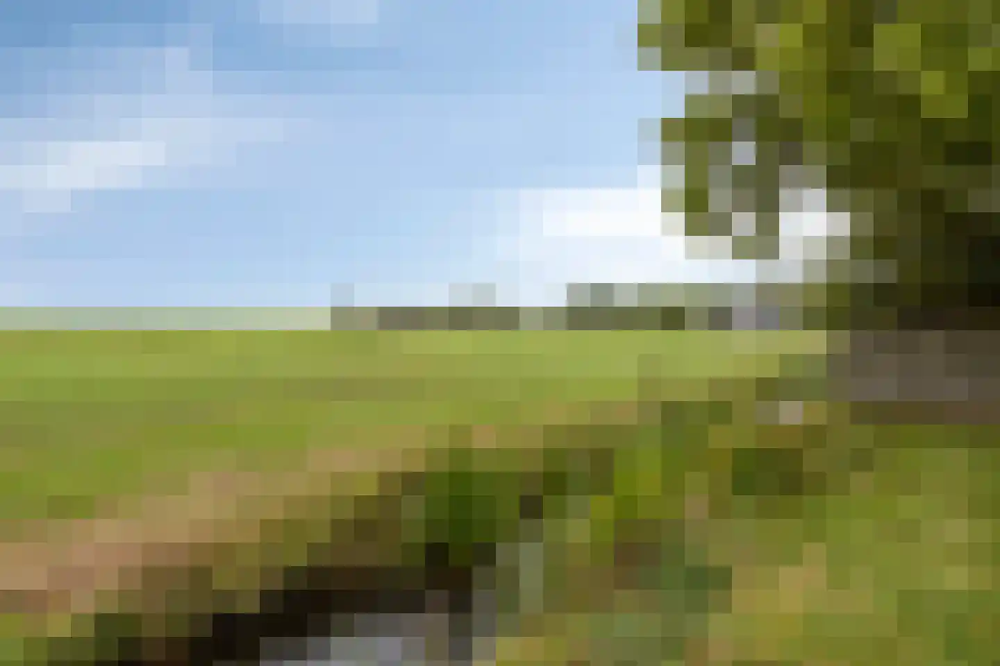 Buorren 53 Elahuizen thumbnail 20