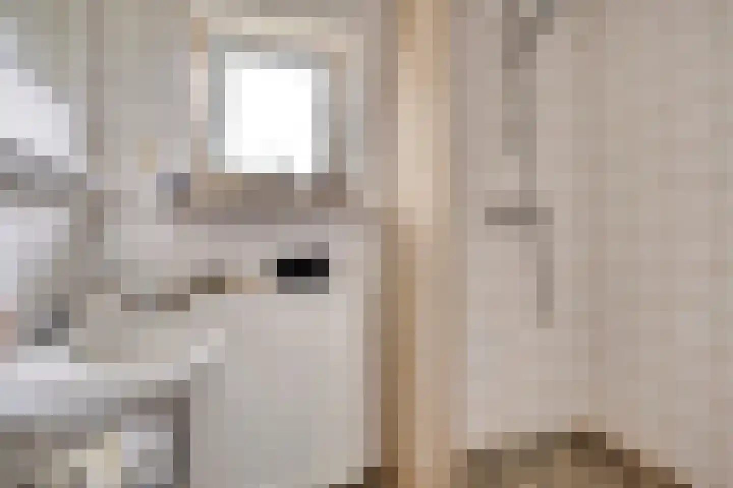 Buorren 53 Elahuizen thumbnail 21