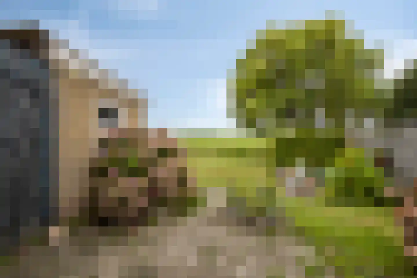 Buorren 53 Elahuizen thumbnail 25