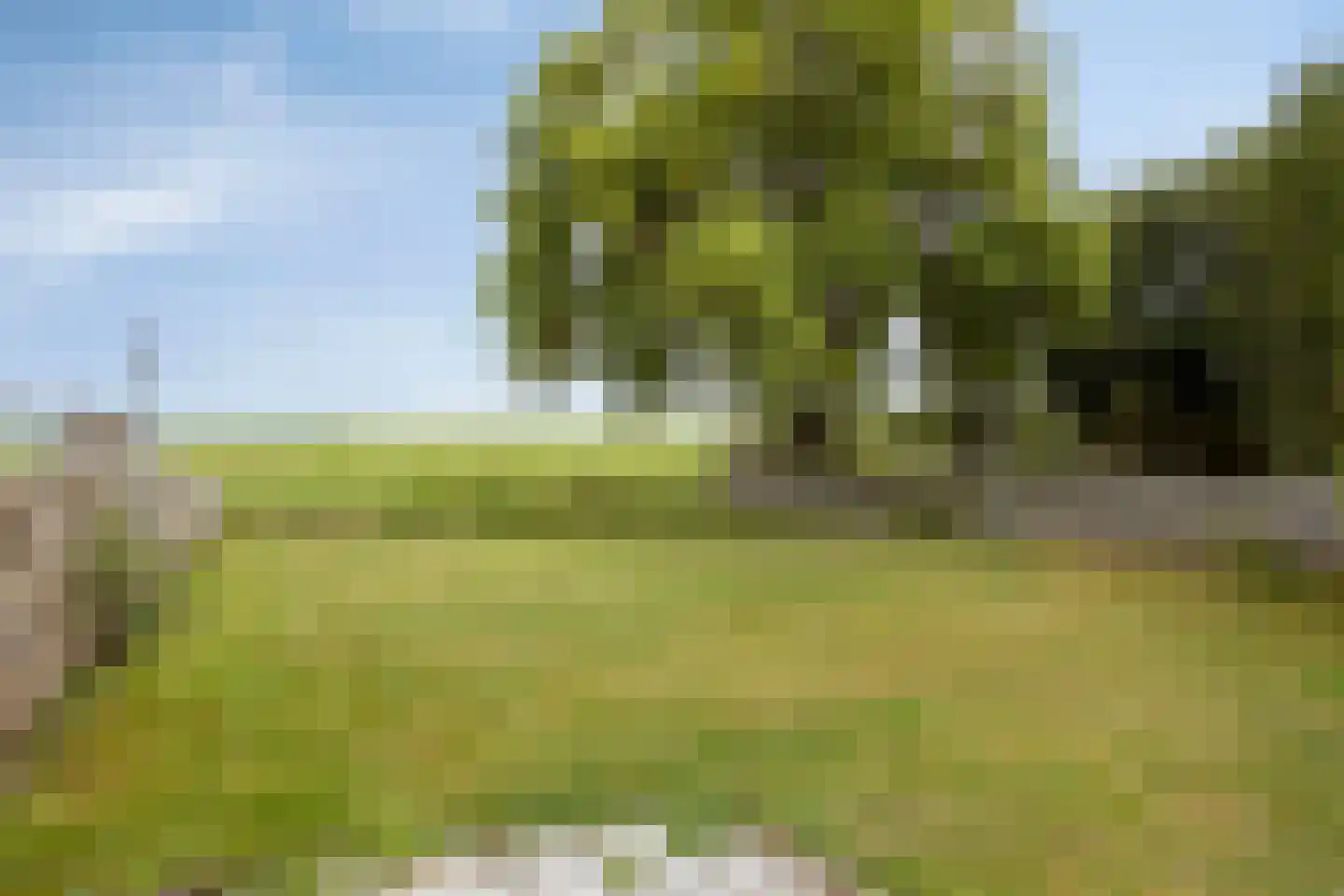 Buorren 53 Elahuizen thumbnail 26