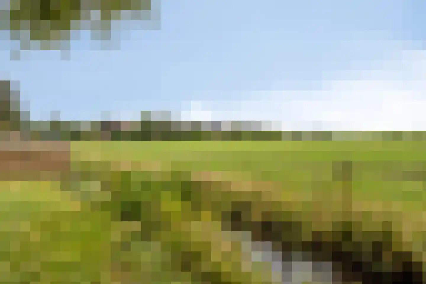 Buorren 53 Elahuizen thumbnail 29