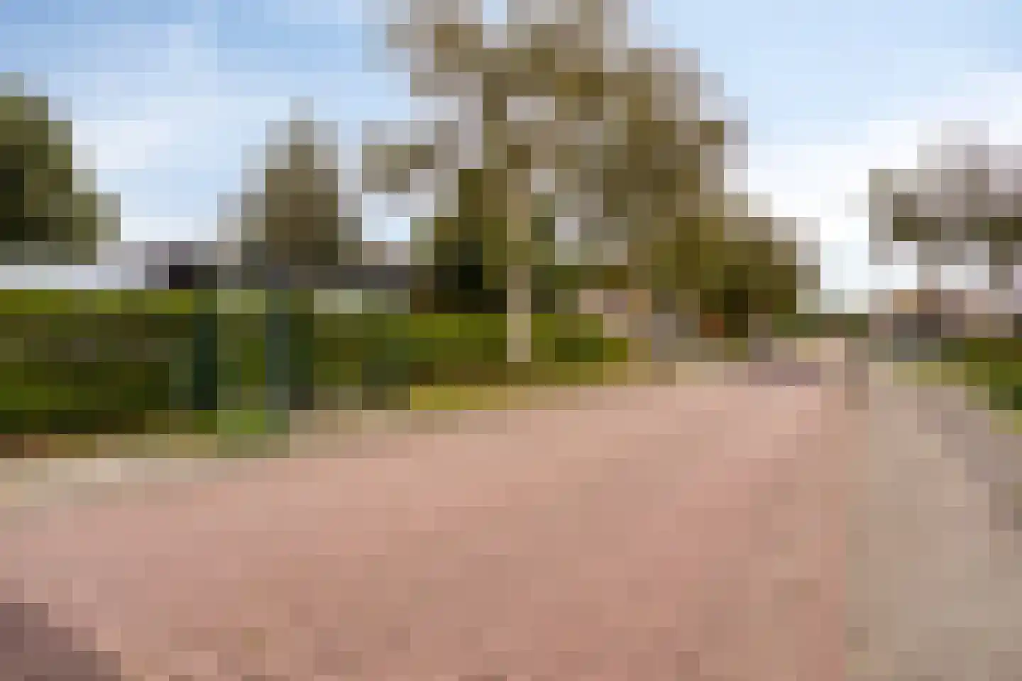Buorren 53 Elahuizen thumbnail 32