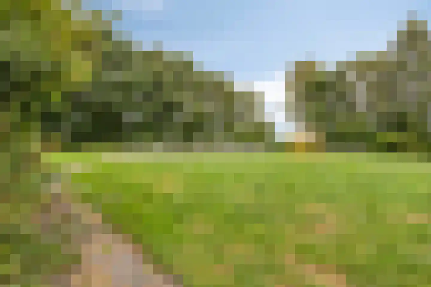 Buorren 53 Elahuizen thumbnail 33