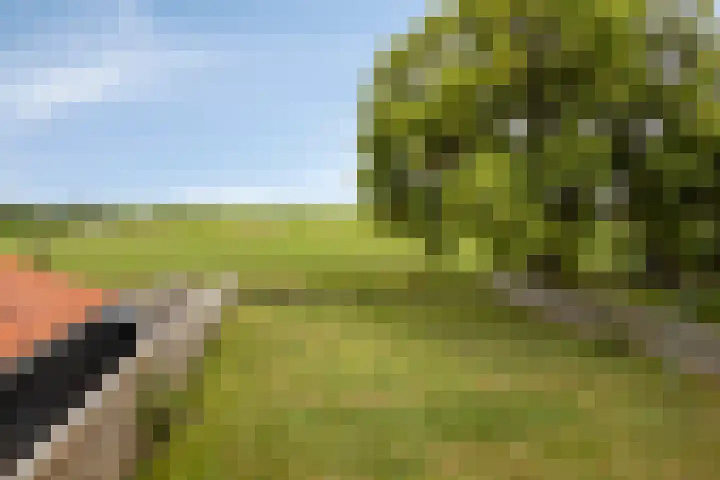 Buorren 53 Elahuizen thumbnail 4