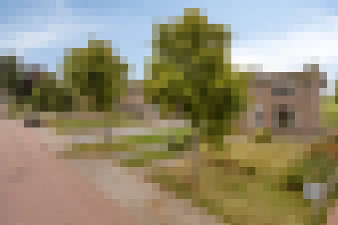Buorren 53 Elahuizen thumbnail 9
