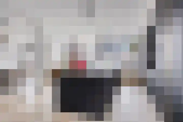 Buorren 54 Tzummarum thumbnail 12