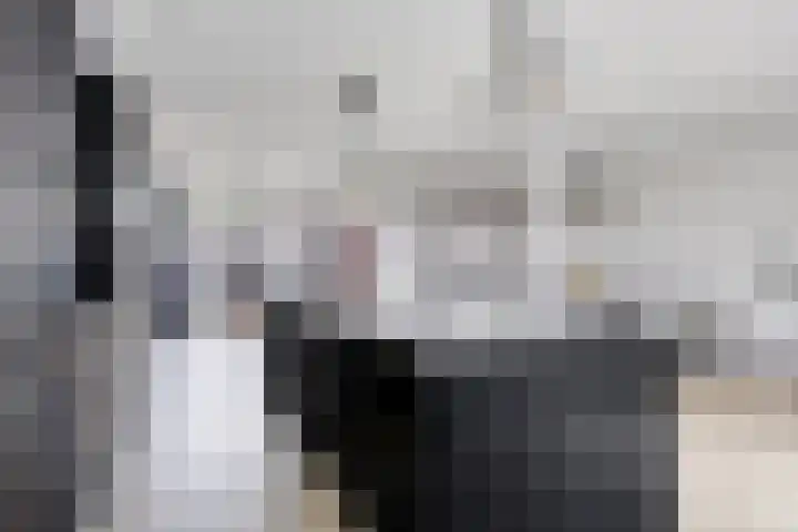Buorren 54 Tzummarum thumbnail 13