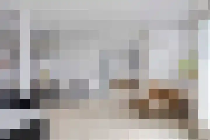 Buorren 54 Tzummarum thumbnail 14