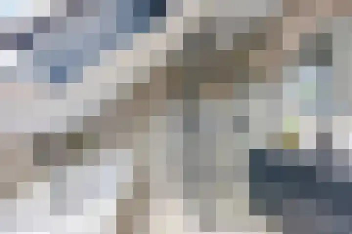 Buorren 54 Tzummarum thumbnail 25