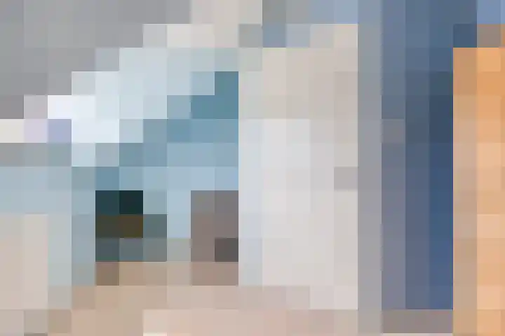 Buorren 54 Tzummarum thumbnail 27