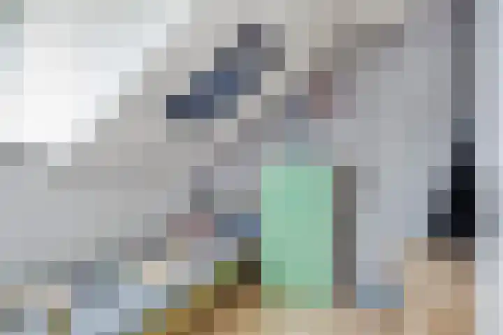 Buorren 54 Tzummarum thumbnail 31