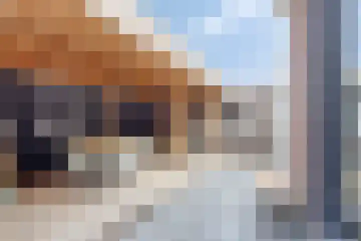 Buorren 54 Tzummarum thumbnail 33