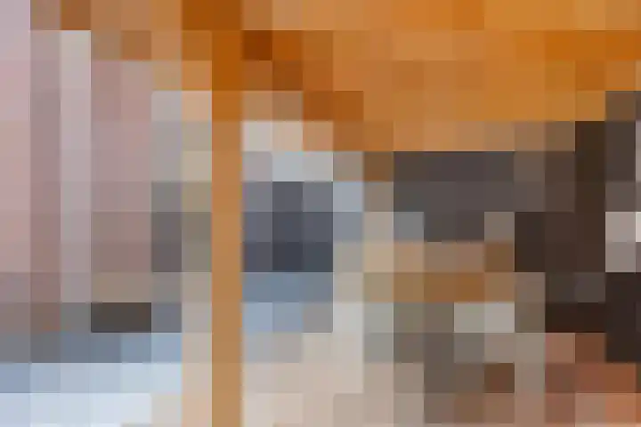 Buorren 54 Tzummarum thumbnail 35
