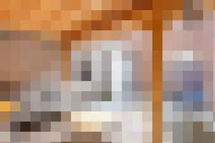 Buorren 54 Tzummarum thumbnail 36