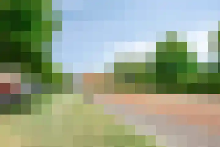 Buorren 54 Tzummarum thumbnail 38