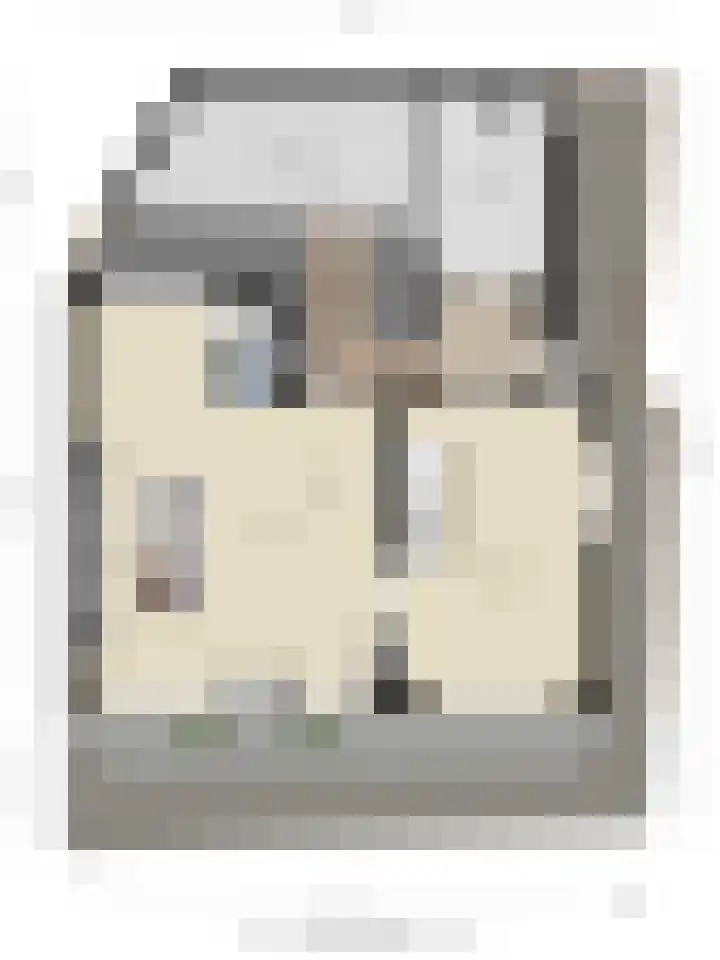 Buorren 54 Tzummarum thumbnail 40