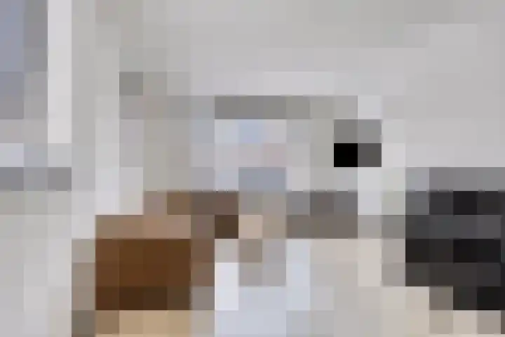 Buorren 54 Tzummarum thumbnail 6