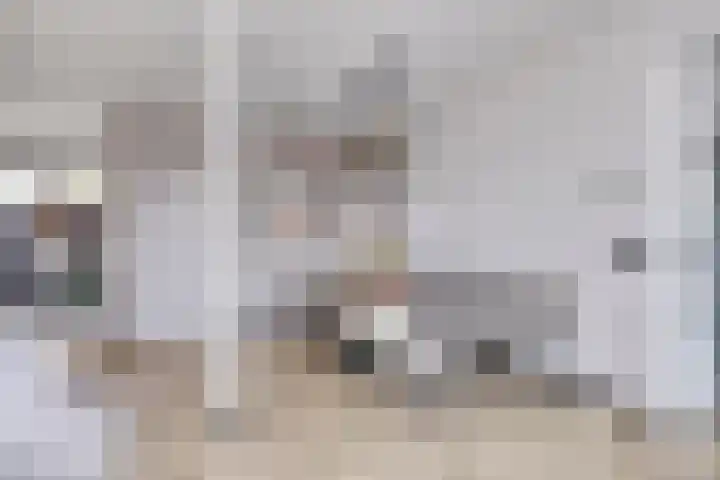 Buorren 54 Tzummarum thumbnail 8