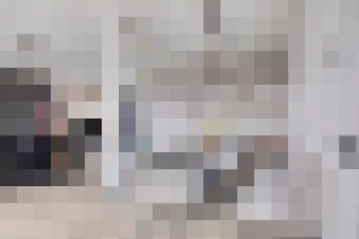 Buorren 54 Tzummarum thumbnail 9