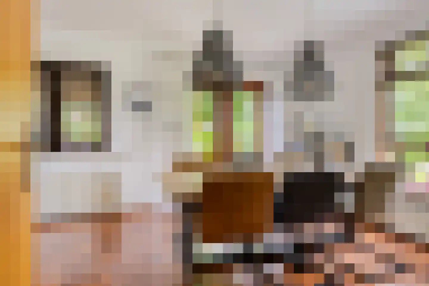 Buorren 56 a Rottevalle thumbnail 20