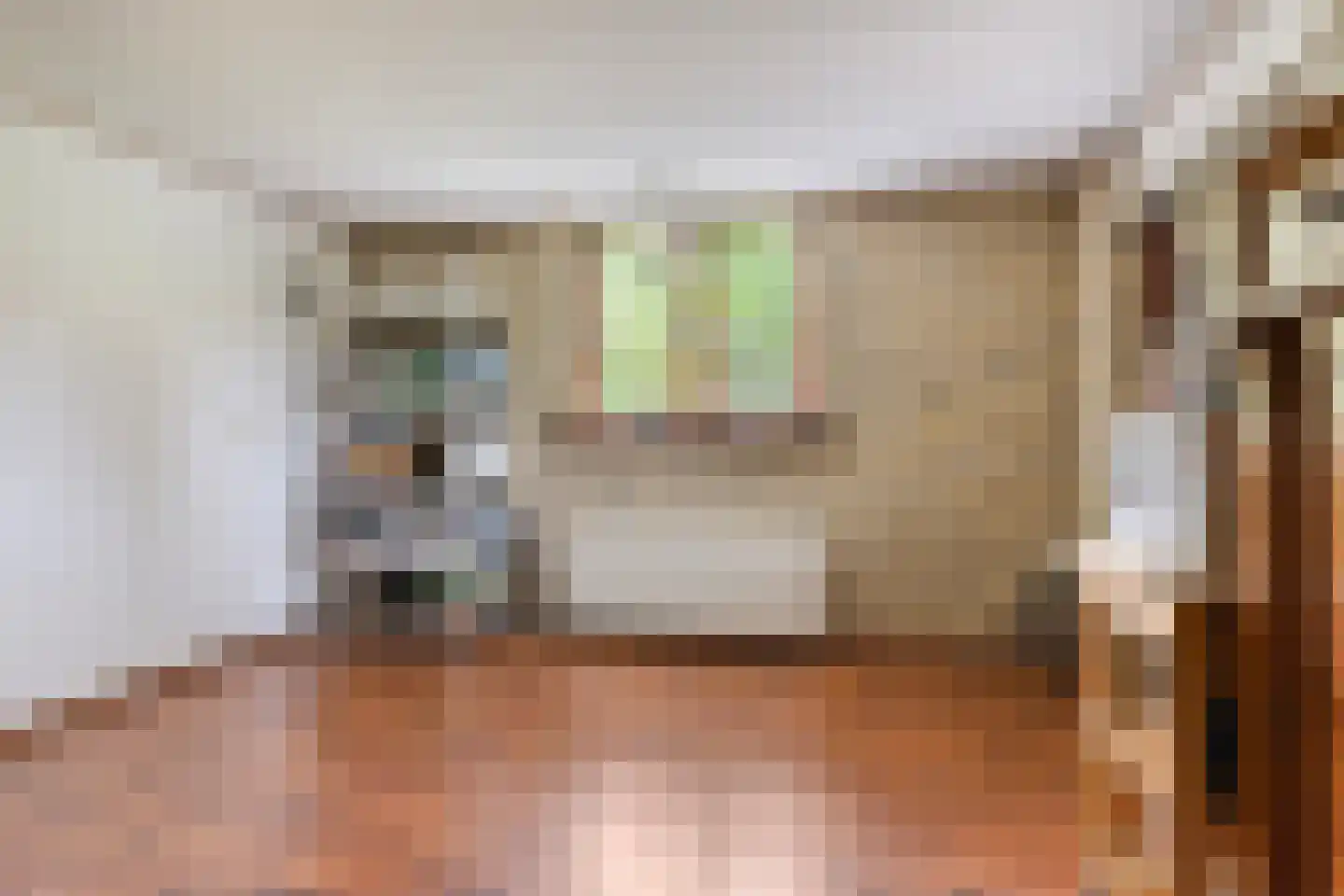 Buorren 56 a Rottevalle thumbnail 29