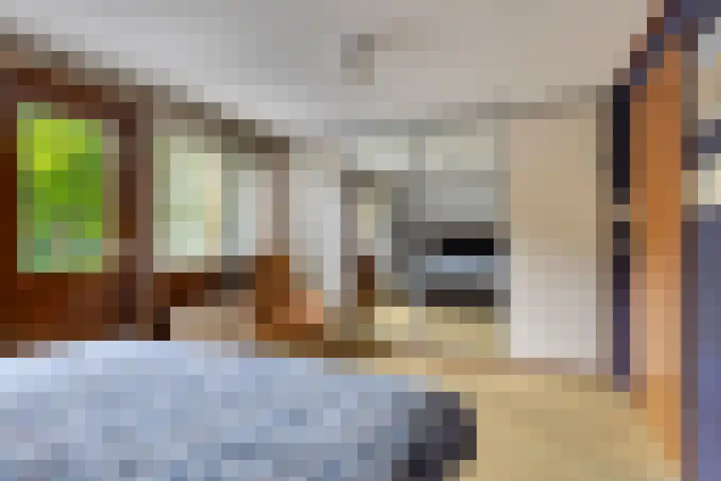 Buorren 56 a Rottevalle thumbnail 34